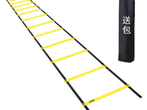 Custom 10-Meter Agility Ladder