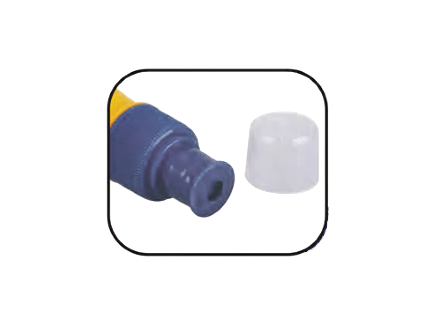 Plastic Beer Bottles OEM