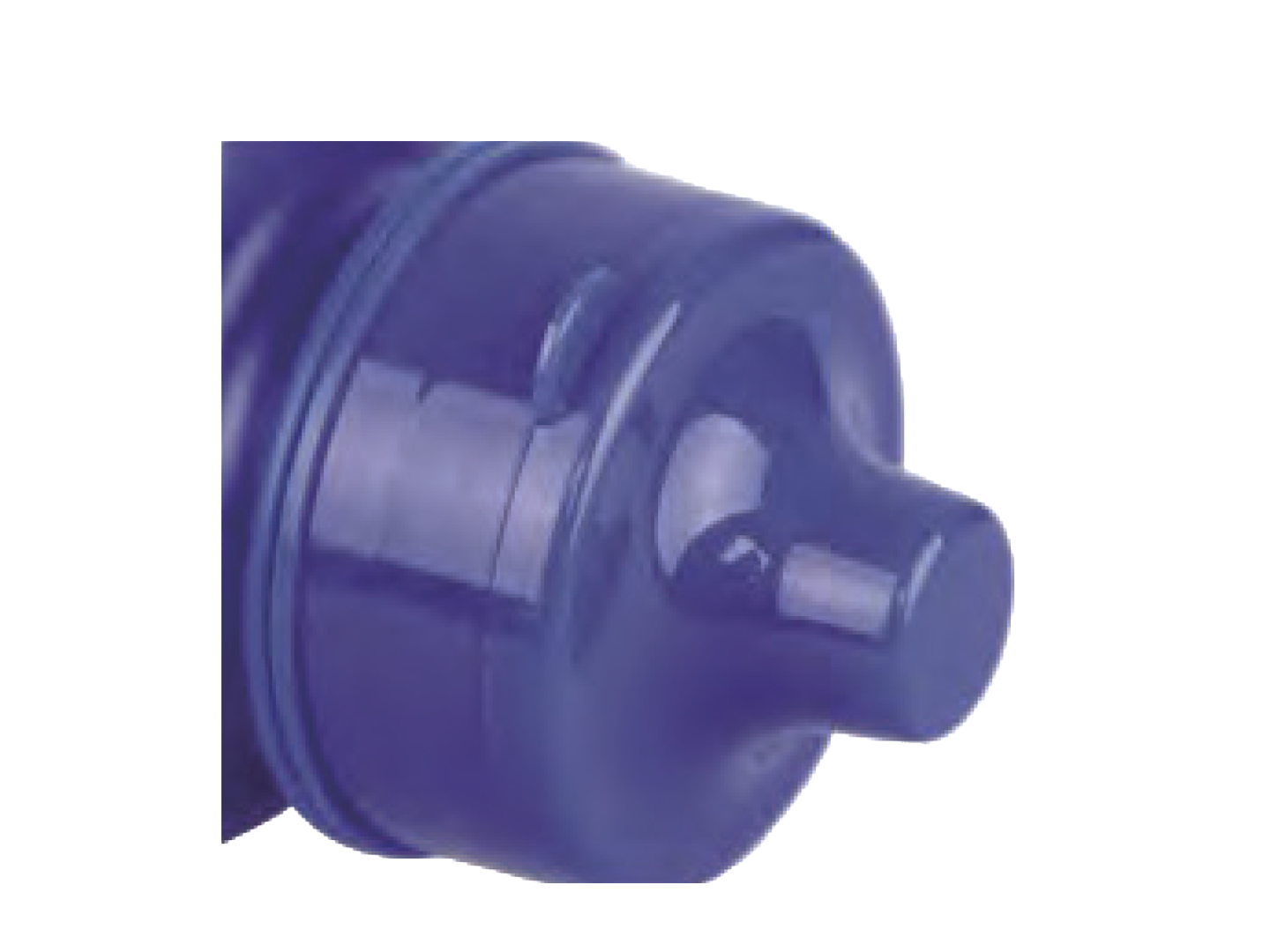 squeeze sports water bottles