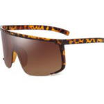 visor sunglasses