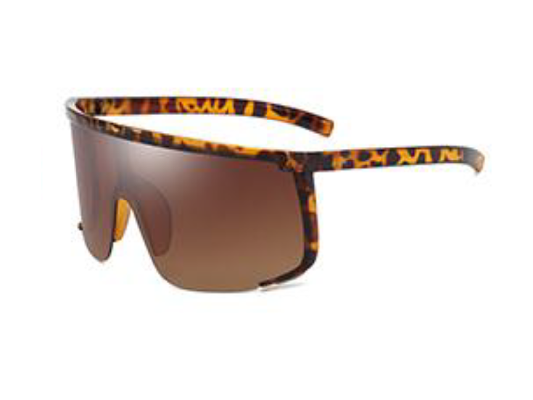 visor sunglasses