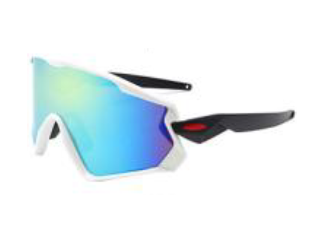 full frame sunglasses