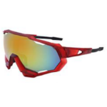 large frame sunglasses