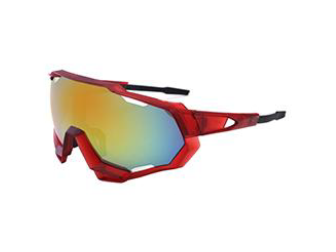 large frame sunglasses