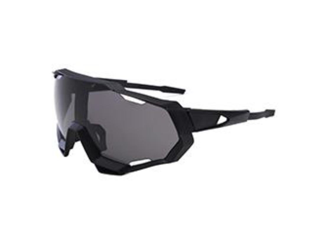 large frame sunglasses