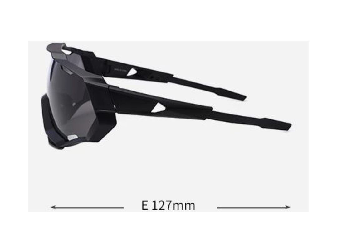 large frame sunglasses