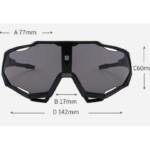 large frame sunglasses