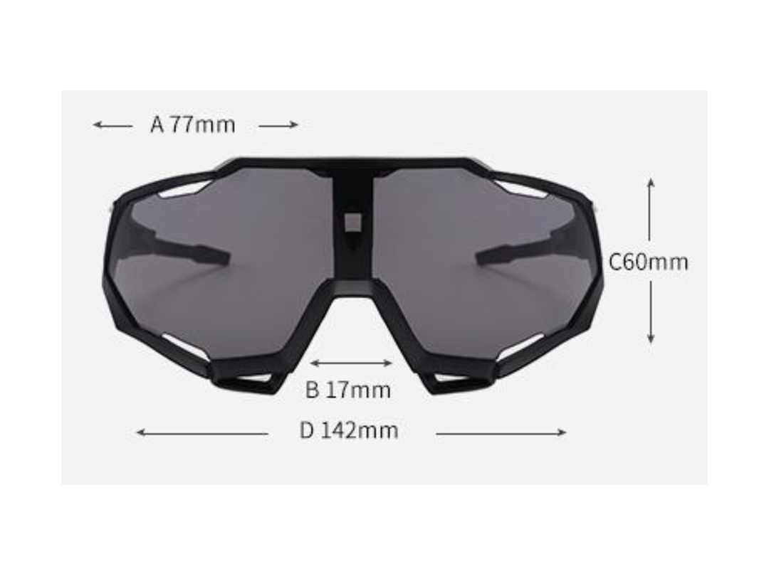large frame sunglasses
