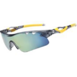 sunglasses with case