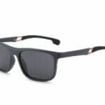 Wayfarer sunglasses polarized
