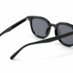 classic Wayfarer sunglasses