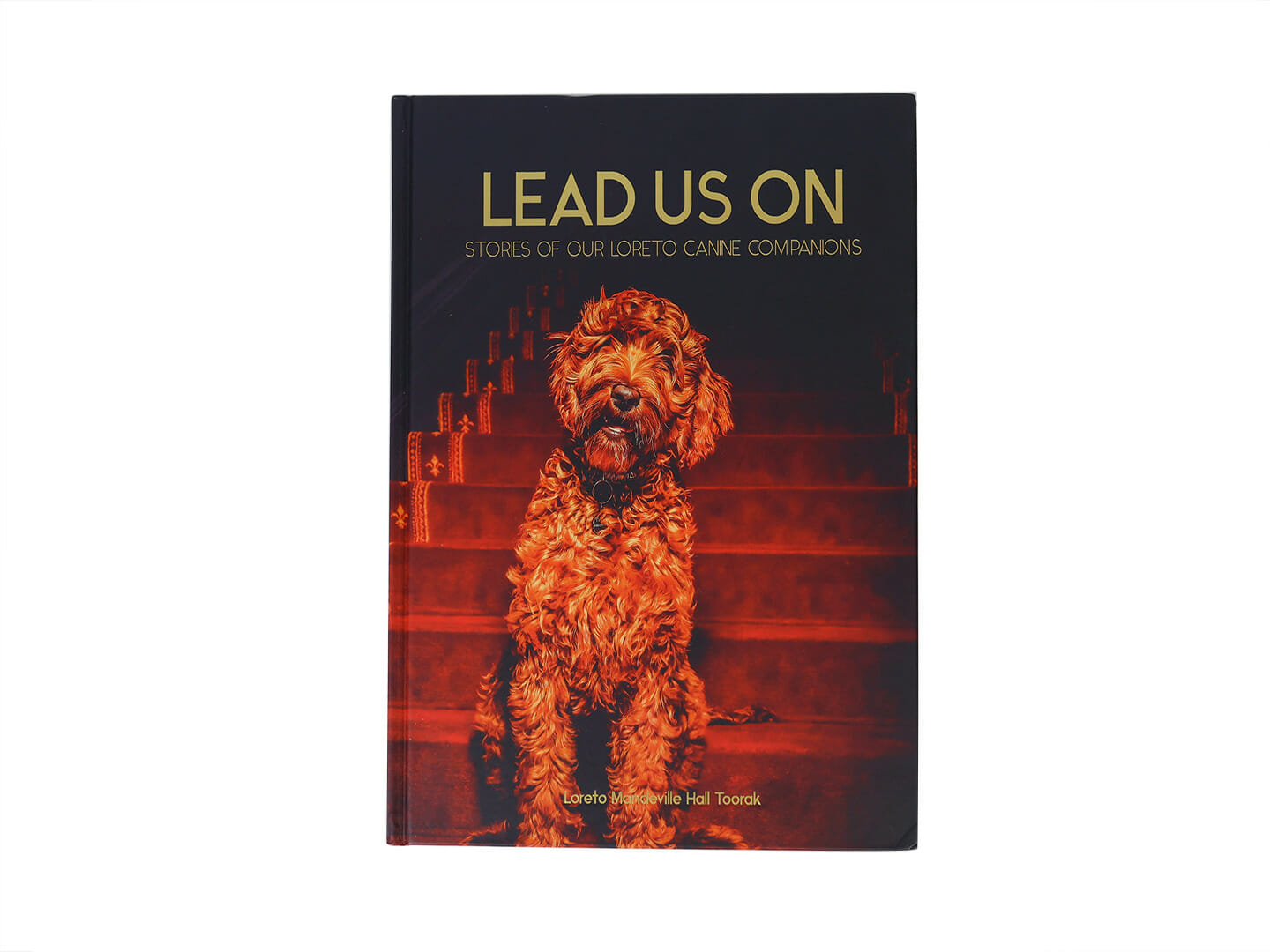 bulk book printing
