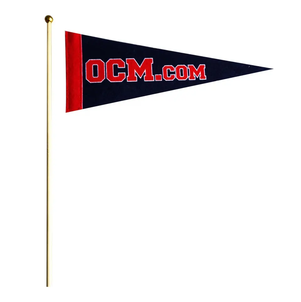 triangle pennant flag (3)