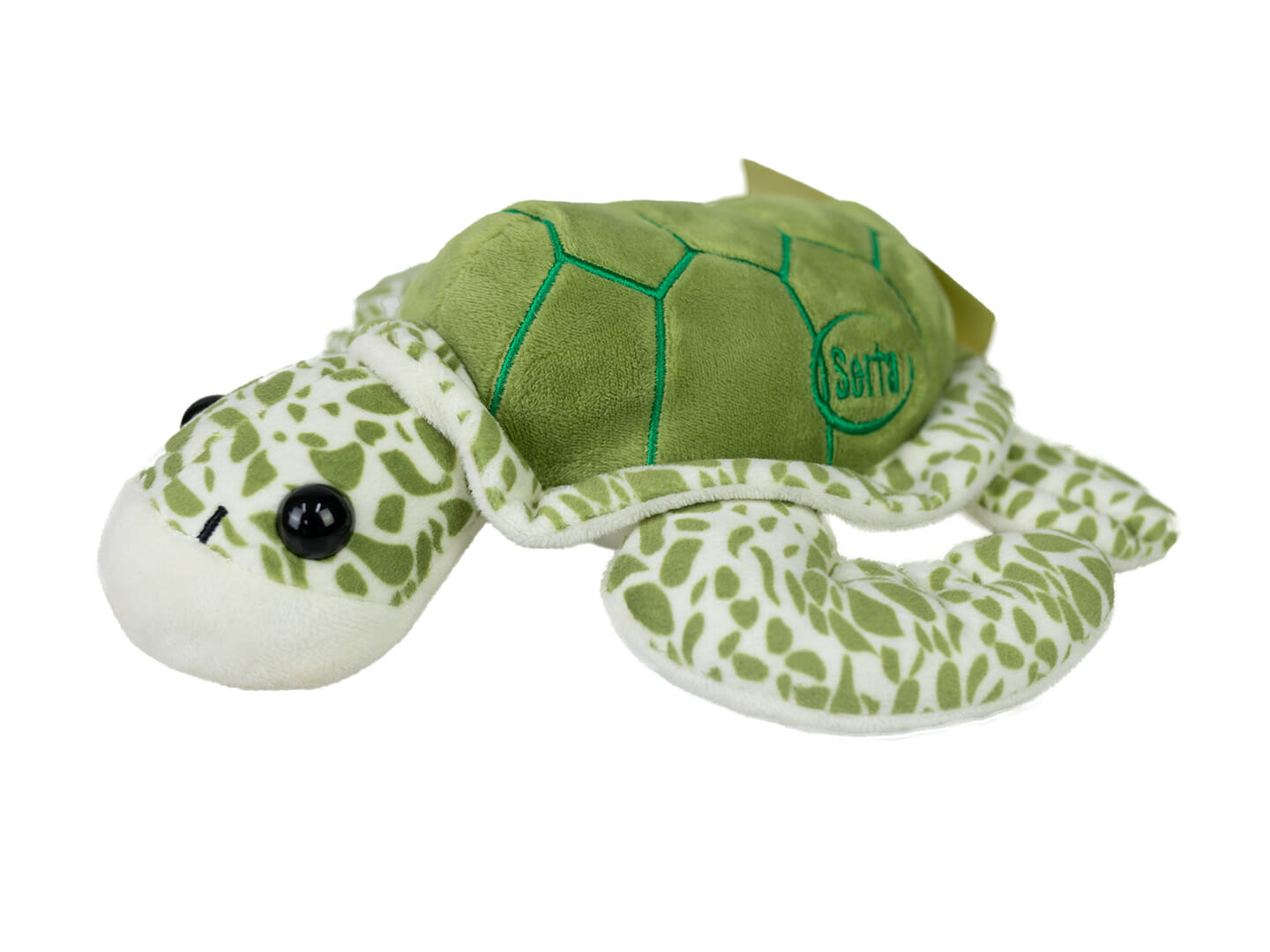 turtle stuff toy