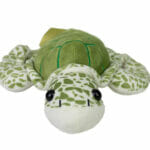 turtle stuff toy