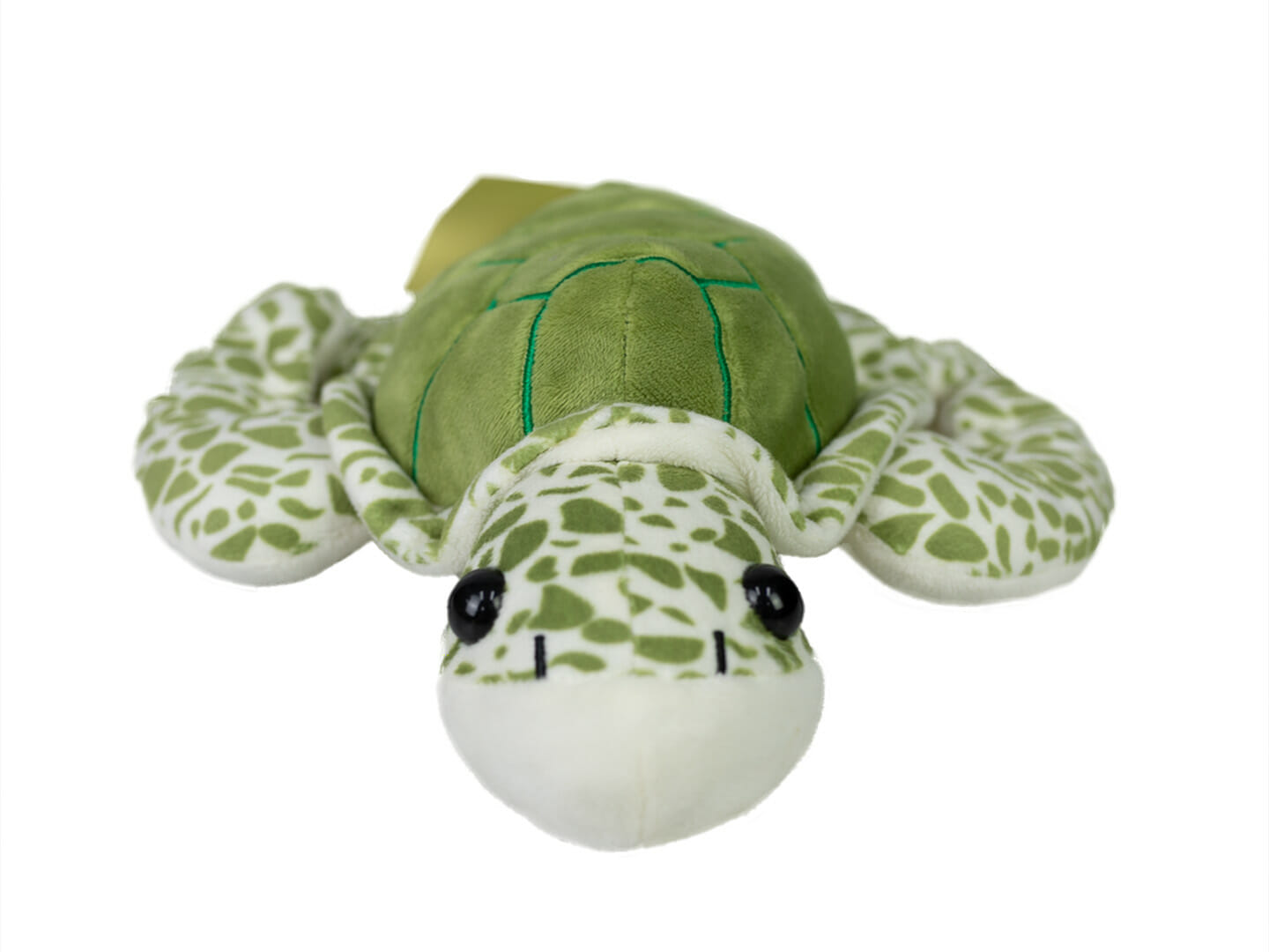 turtle stuff toy