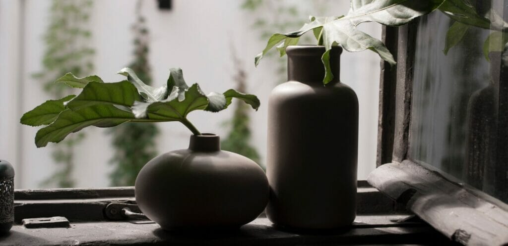 Ceramic Japanese vase with green leaves on a windowsill