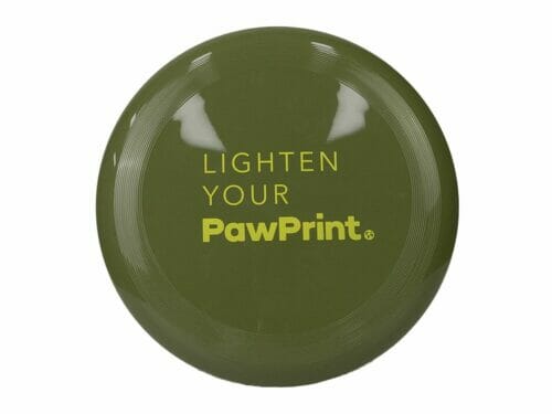 frisbee disc