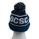 wholesale beanies with pom