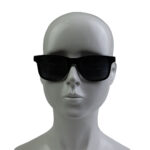 wayfarer sunglasses