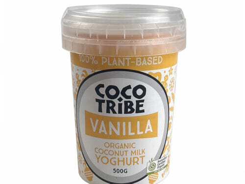 ice cream containers with lids