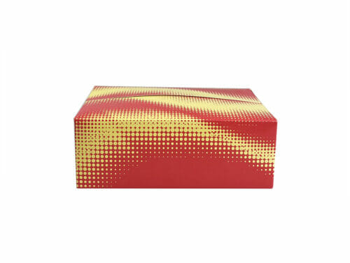 Paper Folding Boxes Custom-Made Design Decorative Packing Assemble-Friendly Box for Ready Made (1)