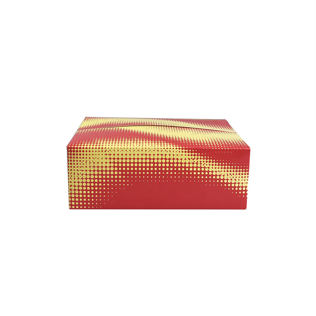 Paper Folding Boxes Custom-Made Design Decorative Packing Assemble-Friendly Box for Ready Made (1)