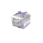 Customized Transparent Plastic Box