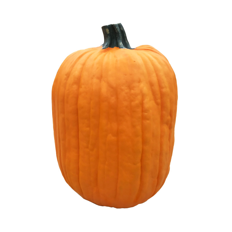 Halloween Holiday Promotional Items