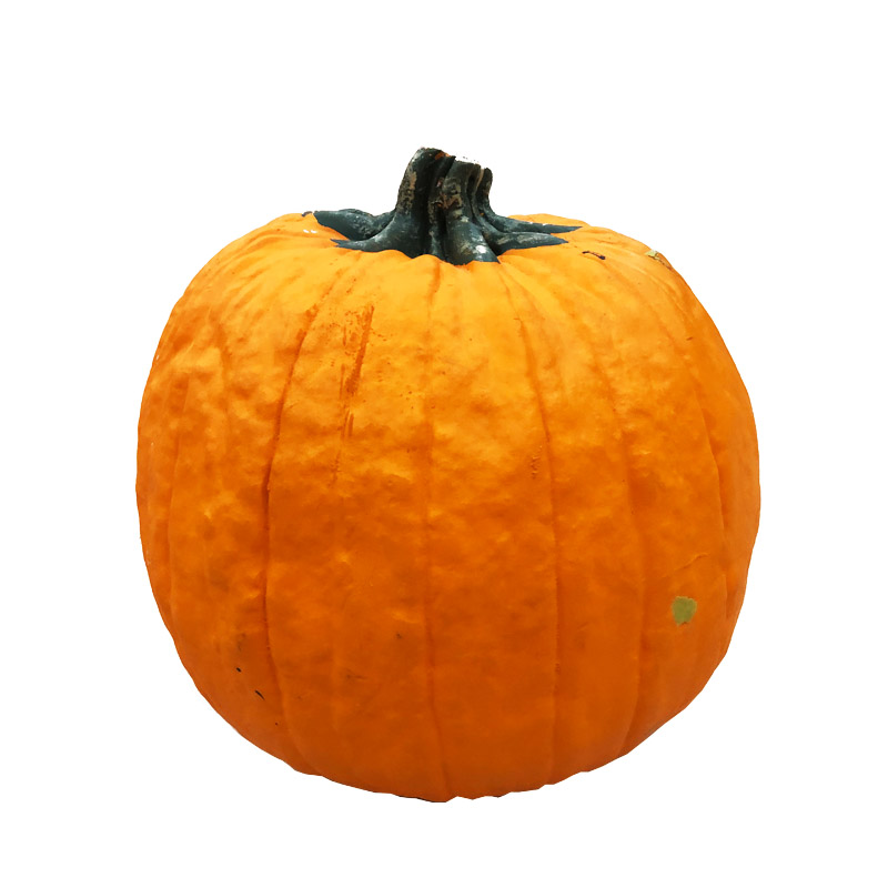 Halloween Holiday Promotional Items