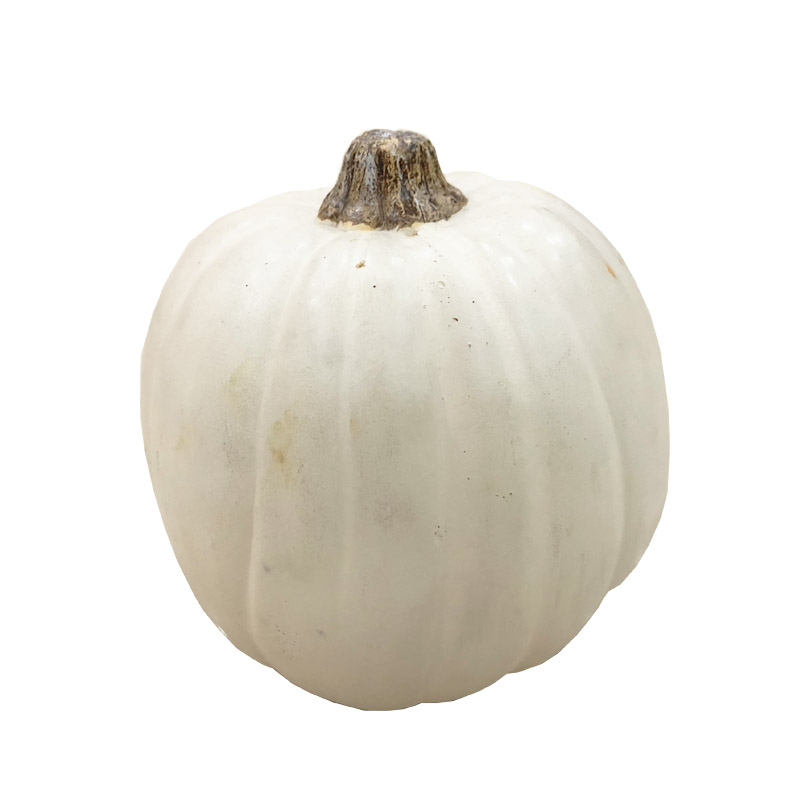 wholesale Halloween outdoor decorations