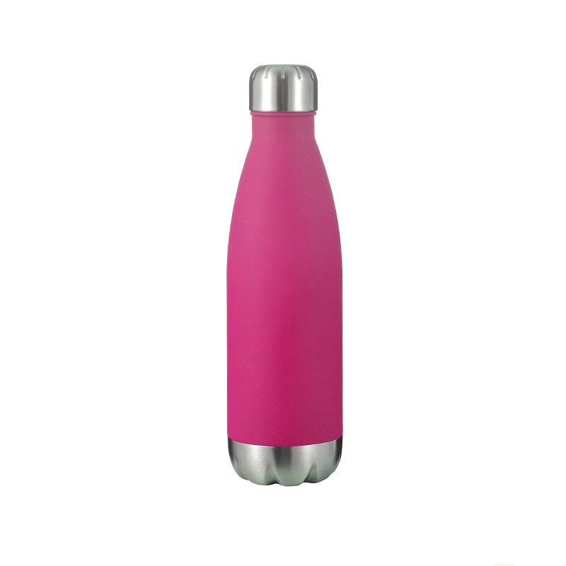 BPA Free Stainless Steel Drink Water Bottle