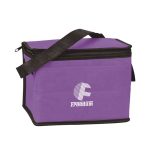 bulk insulated lunch bag
