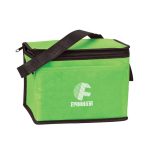 bulk insulated lunch bag