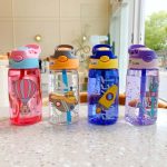 water bottles with handle and straw
