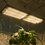 wholesale led grow lights