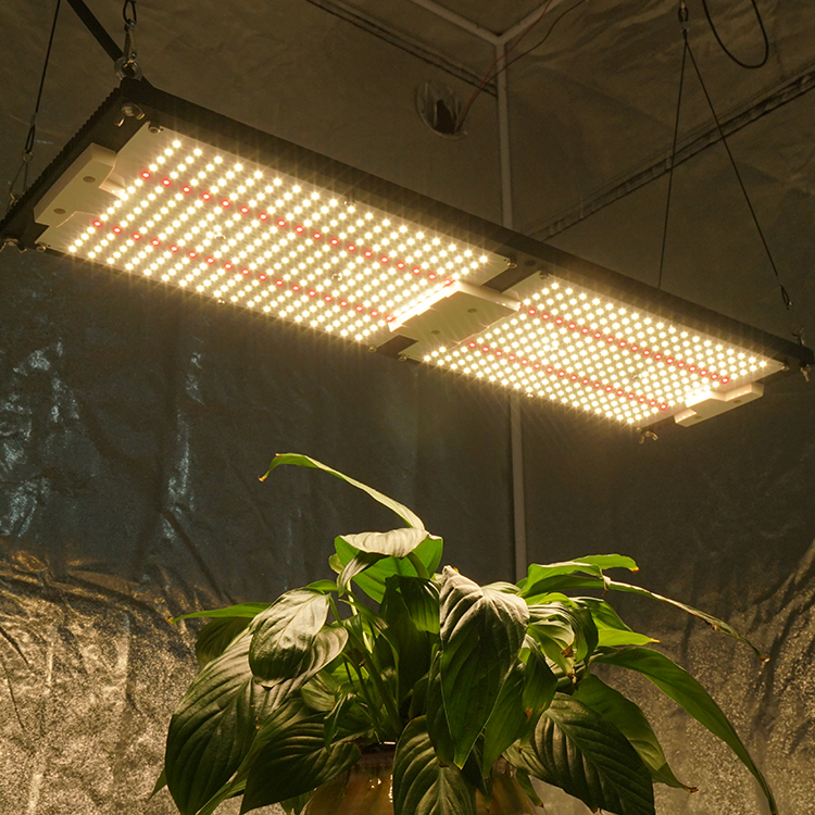 wholesale led grow lights