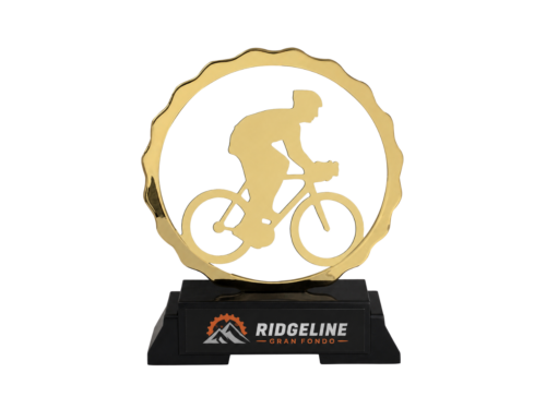 Gold-Plated Metal Sports Trophy