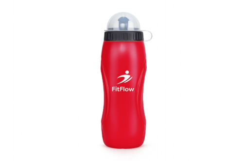 Custom 500-750ml Sports Water Bottle with Spout Lid