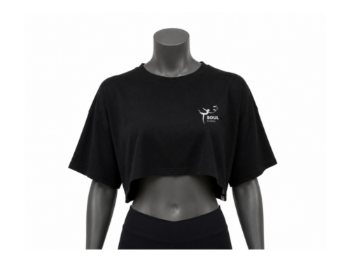 fit crop top tshirt 2