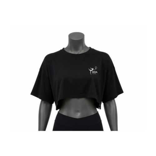 fit crop top tshirt 2
