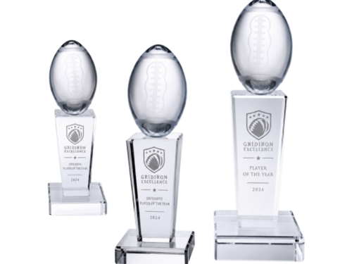 3D-Crystal-Glass-Award-Trophy Front